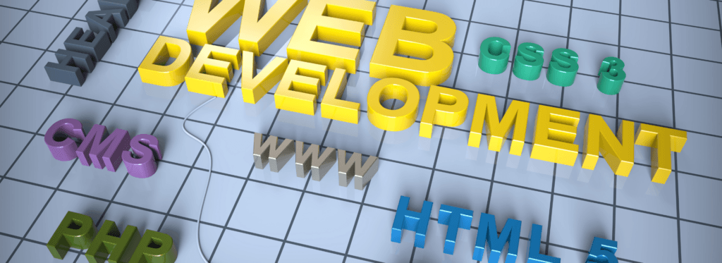 Professional Website Developer
