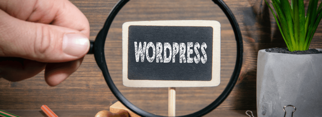 WordPress Web Design Agency